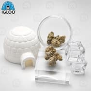 Society C | Infused Flower | Ice Caps | Super Lemon