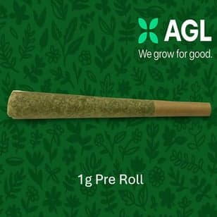 AGL - Strawberry Guava x Fantasy Melonz (H) 1g Pre-Roll 1pk (1g) C0010001684