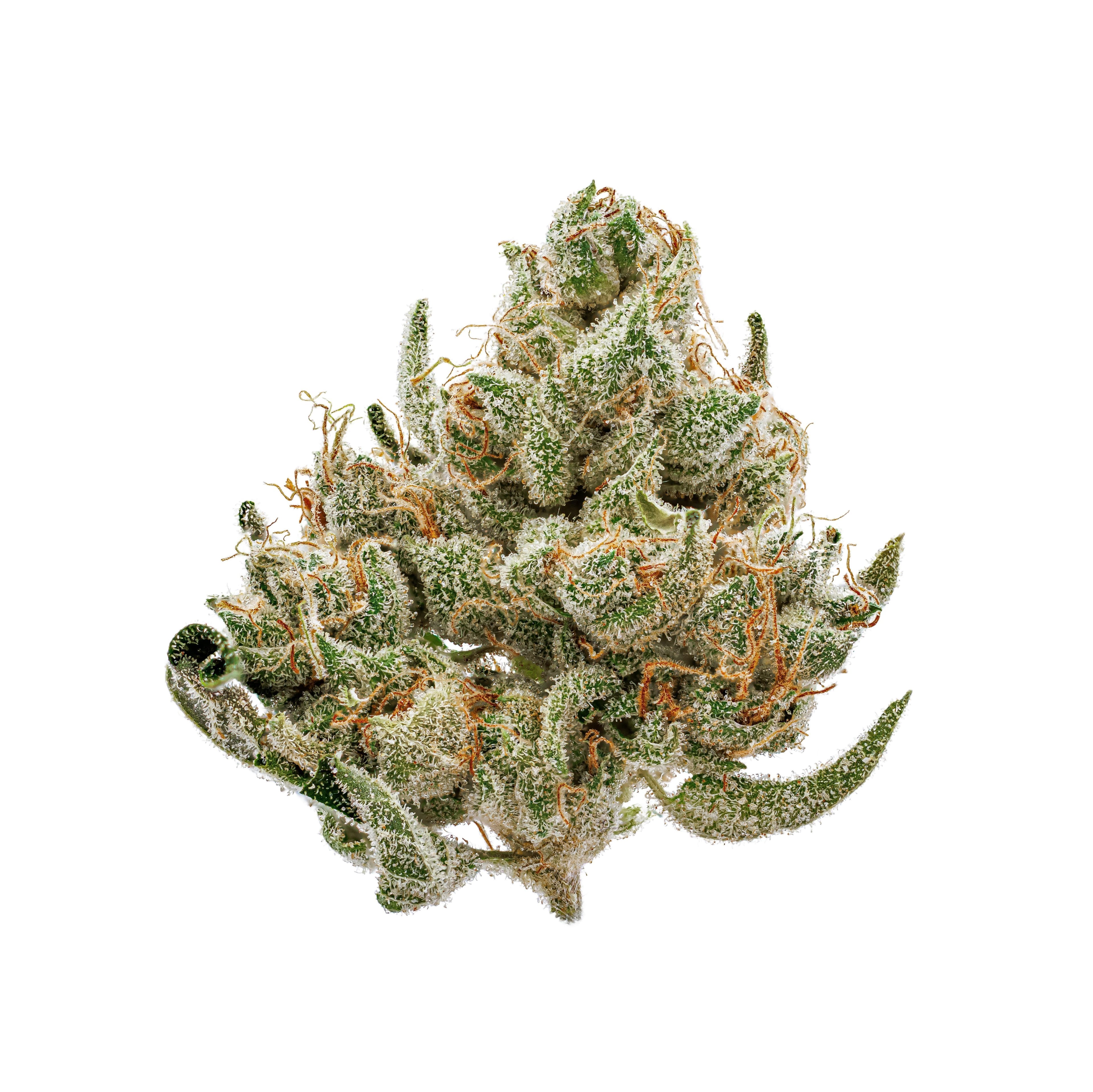 Good Earth Original Glue 3.5g