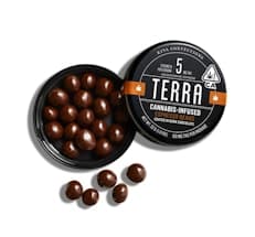 Espresso Beans | 5mg x 20pk | Terra Bites
