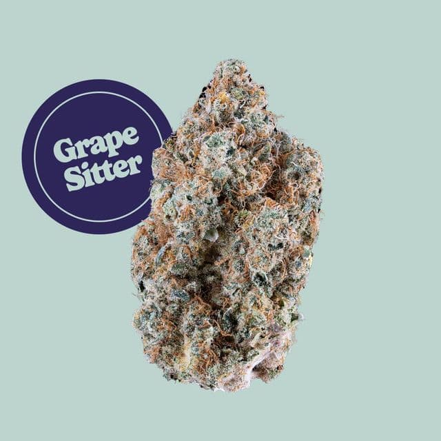 Grape Sitter Buds