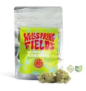 Wellspring Fields | Project Red | 2.83g [Indica]