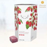 20-PACK 1000MG RASPBERRY SATIVA GUMMIES - WYLD