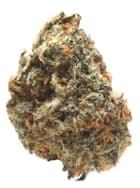 SUNMED Sunshine #4 5g