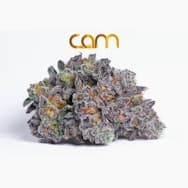 CAM | Flower 3.5g | H | Mystery Machine