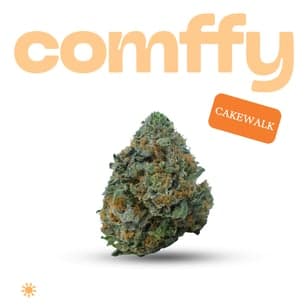 comffy - Cakewalk (S) Flower