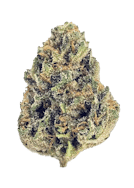 Blue Gelato - 14g
