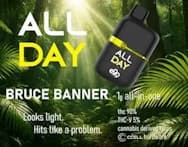 Bruce Banner "All Day" AIO Vape