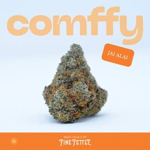 comffy - Jai Alai (S) Flower