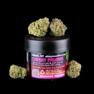 Sticky's Weed Farm | Cherry Paloma | Sungrown | Flower | Jar (Microgrower)