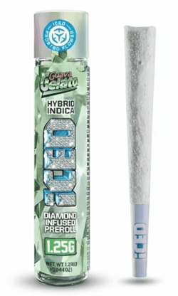 ICED - INFUSED PREROLL - GUAVA GELATO - 1.25G