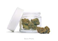 Blackberry Soda - Divine Cultivation Prepackaged Flower