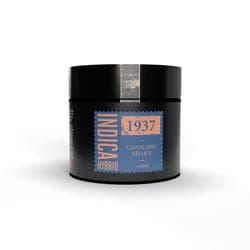1937 | Shake | - Blueberry Cruffin | 7g Plastic Container