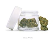 Lovelife - Coconut Creme | Indica Flower