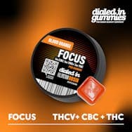 100mg - Blood Orange 1:1:1 Focus - Rosin Gummies (20pk)