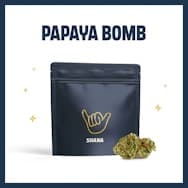 Bud | Papaya Bomb