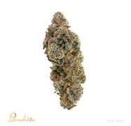 Bouket Flower GMO Punch (Hybrid)
