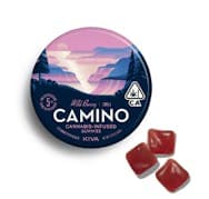 Wild Berry | 20pk
