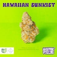 Wellspring Fields | Hawaiian Sunkist | 2.83g [Hybrid]