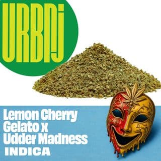 Lemon Cherry Gelato x Udder Maddness Ground Flower Big Bags