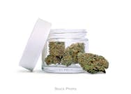 Jack Herer - Calendar Islands