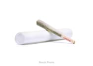 The Clear - XJ-13 (S) - Twax Infused Joint