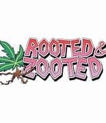 Rooted and Zooted - Wedding Pie - Hash Rosin
