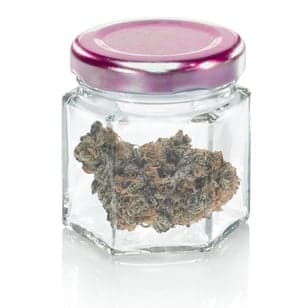 Blueberry Yerba