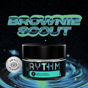 BRWN E SCT