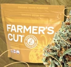 Glazed Apricot Lime | 3.5g