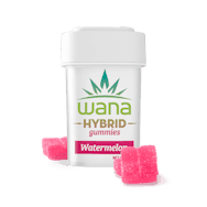 Sour Watermelon Gummies | 100mg