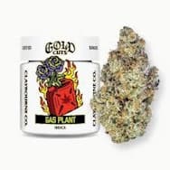 Claybourne Co. | Gas Plant | Gold Cuts | Indoor Flower