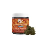 FX | Lemon Cherry Wafflez | Indoor Flower