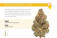 WonderBrett | Pineapple OG | 3.5g