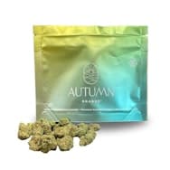 Autumn Brands | Flower 7g | H | G-Runtz