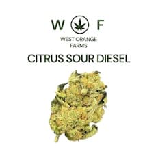 Citrus Sour Diesel | 3.5g