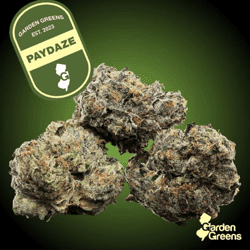 Garden Greens - PayDaze - Big Buds 7g - Indica Leaning