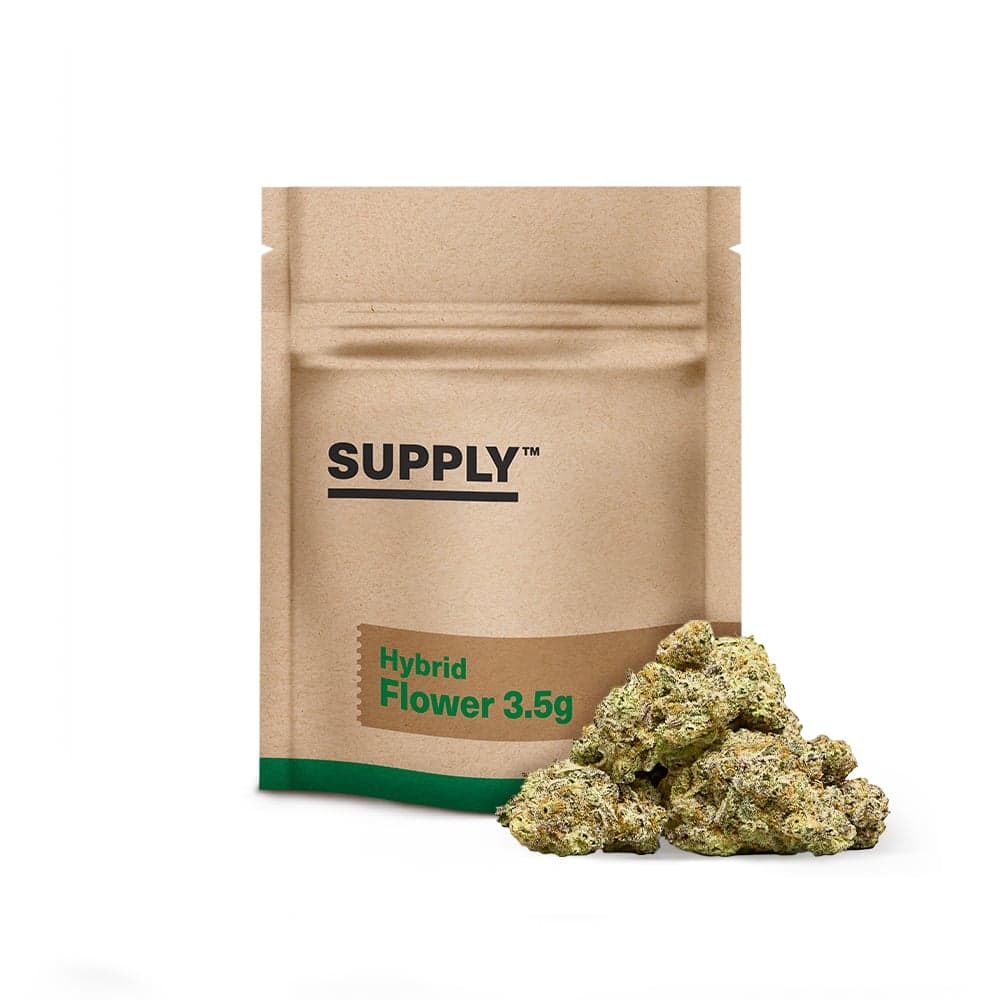 West Coast Diesel