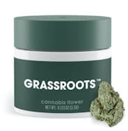 Collie Man Kush [Small Buds]-3.5g || Grassroots