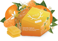 Wyld - Gummy - Sour Tangerine - (H) - 100mg