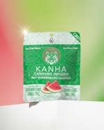 20:1 Watermelon CBD Gummies 10-pack | 200mg