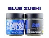 Animal House | Blue Zushi | Mixed Light Flower