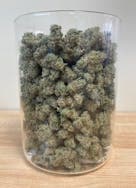 Jelly Mumbler | Street Tarts "A Buds" | Bulk Flower