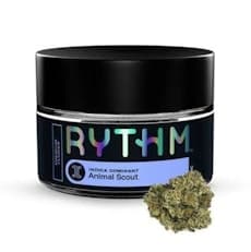 Animal Scout #10 | 3.5g