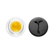 Strawberry Mojito Live Sauce | 1g