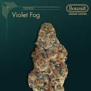 Botanist Flower 14g- Violet Fog
