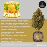 Volcanna | Crumble | Acapulco Gold