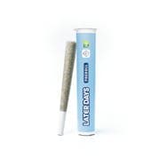 Marquise Preroll (1g)
