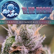 Flower Blue Dream (S) Live Weigh