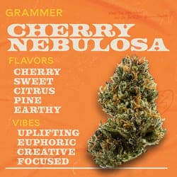 Cherry Nebulosa - 1g Grammers Flower